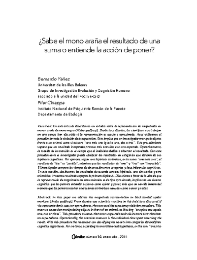 ¿Sabe el mono araña el resultado de una suma o entiende la acción de poner?