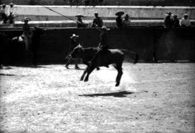 Charro realiza jaripeo enmedio del Lienzo