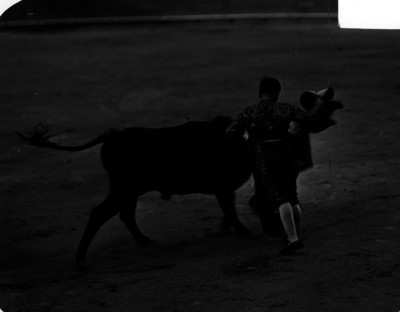 Torero realiza una verónica