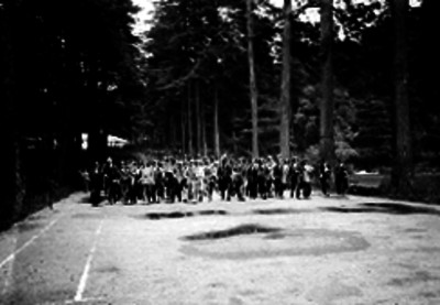 Individuos paseando por un parque
