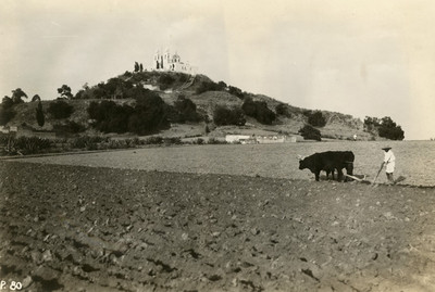 Campesino ara tierra