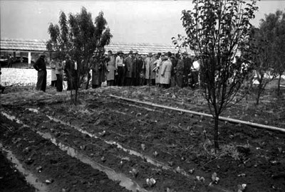 Miguel Alemán conversando con agricultores