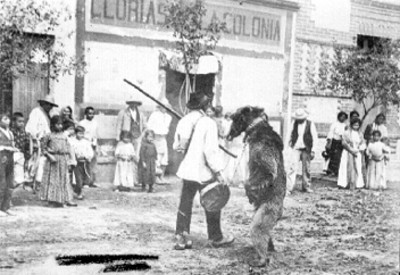 Hungaro haciendo bailar a un oso