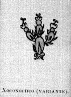 Glifo toponímico de "Xoconochco (variante)", reprografía bibliiográfica