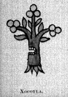 Glifo toponímico de "Xocotla", reprografía bibliográfica