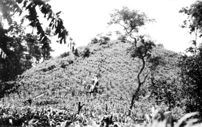 Montículo utilizado como campo de cultivo, vista parcial