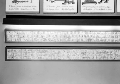 Exhibición del Códice Colombino en la sala de un museo
