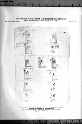 Fragmento de Genealogía Mexicana perteneciente al libro Documents pour servir a l'Histoire de Mexique, reprografía bibliográfica