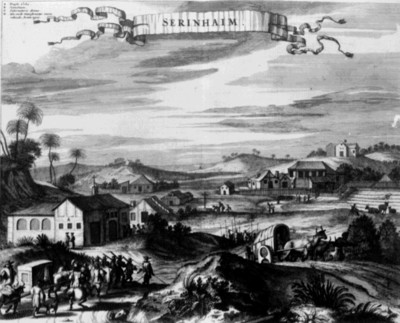 Grabado de la provincia de Serinhaim en Brasil, perteneciente al libro El nuevo y desconocido mundo, reprografía bibliográfica