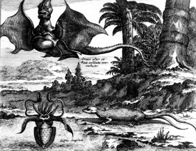 Dibujo de fauna fantastica del libro El Nuevo y desconocido mundo, reprografía