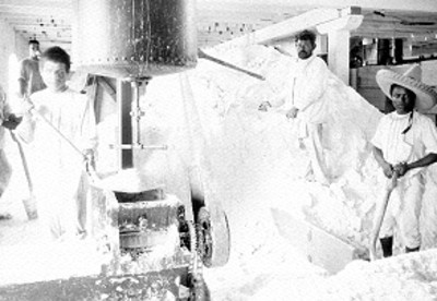 Obreros trabajan en fabrica de cemento, retrato de grupo