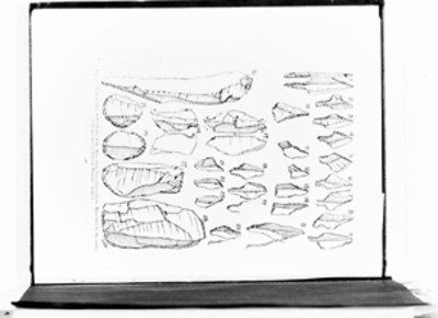 Dibujo de puntas y núcleo elaborados en piedra, reprografía