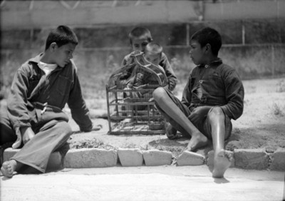 Niños internos observan una jaula con ave, retrato de grupo