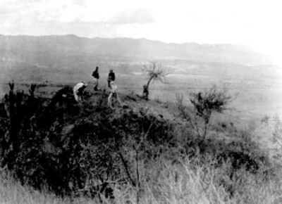 Sistema 7 venado. Montículo Sur Tomada antes de la exploración