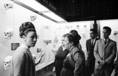 Gente observa una exposición de huesos