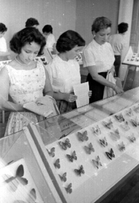 Mujeres observan una exposición de mariposas disecadas