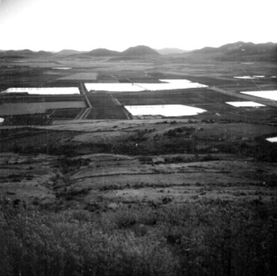 Campos de cultivo, panorámica