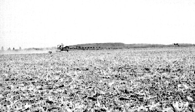 Campo de cultivo, vista parcial