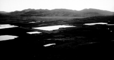 Cultivo de arroz, panorámica