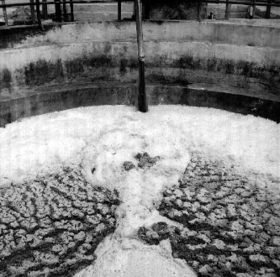 Depósito del extracto de henequén