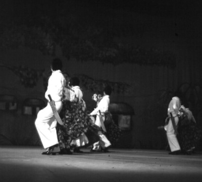 Ballet interpreta danza folclórica