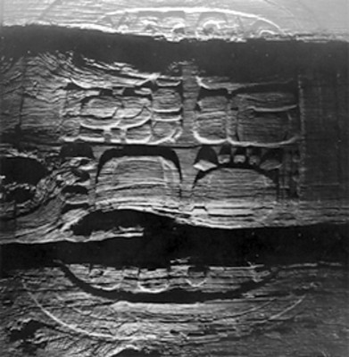 Glifo con símbolos mayas, detalle
