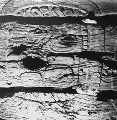 Detalle de un glifo calendárico maya