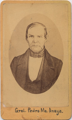 Pedro María Anaya, retrato