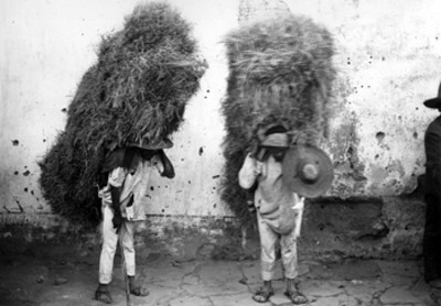 Indígenas con cargamento de pasto a la espalda, retrato
