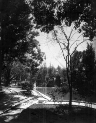 Vista del "parque Teresa en Tacubaya"