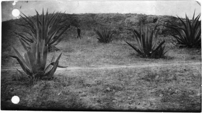 Vista de un monticulo en Tacuba