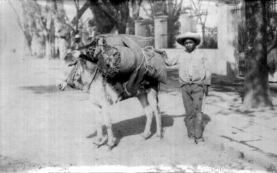 The char coal man and burro, retrato