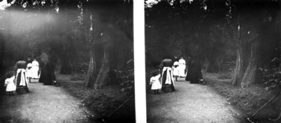 Gente camina por veredas en el Bosque de Chapultepec