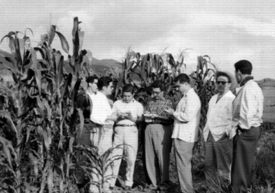 Funcionarios de la Secretaría de Agricultura tomando notas en un campo de maíz