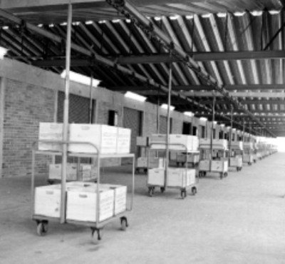 Alimentos almacenados en los nuevas instalaciones de la CONASUPO, antes C.E.I.M.S.A