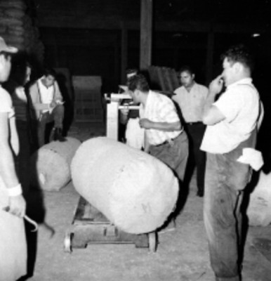 Camiones de carga fuera de bodegas de la ANDSA durante un desembarque de chile