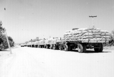 Estibadores en un camión, durante una entrega de trigo en un almacén de depósito