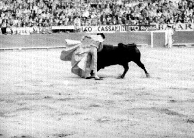 Torero realiza chicuelina durante una corrida