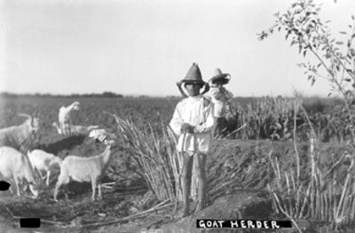 "Goat herder" pastores de cabras