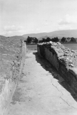 Ruinas de Zacatepec