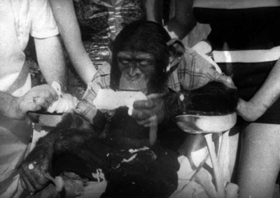 Primate come helado después de revisón con un dentista