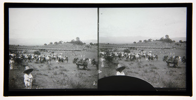 Jinetes en jaripeo