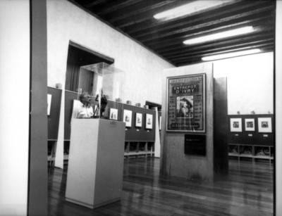 Hombre en la exposición de un museo