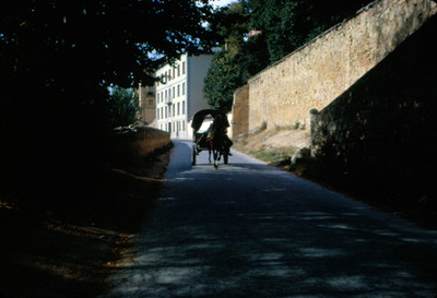 Carreta por una calle de