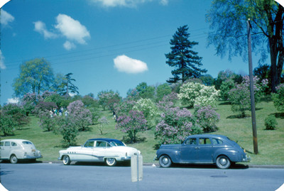 Vista de un parque