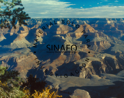 Sin título