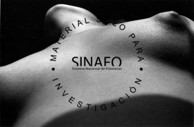 Desnudo número dos