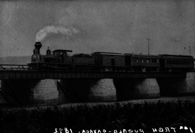 Primer tren Puebla-Oaxaca pasando por un puente
