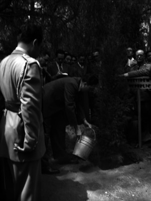Miguel Alemán Valdés regando un árbol