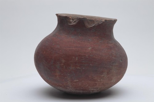 Olla